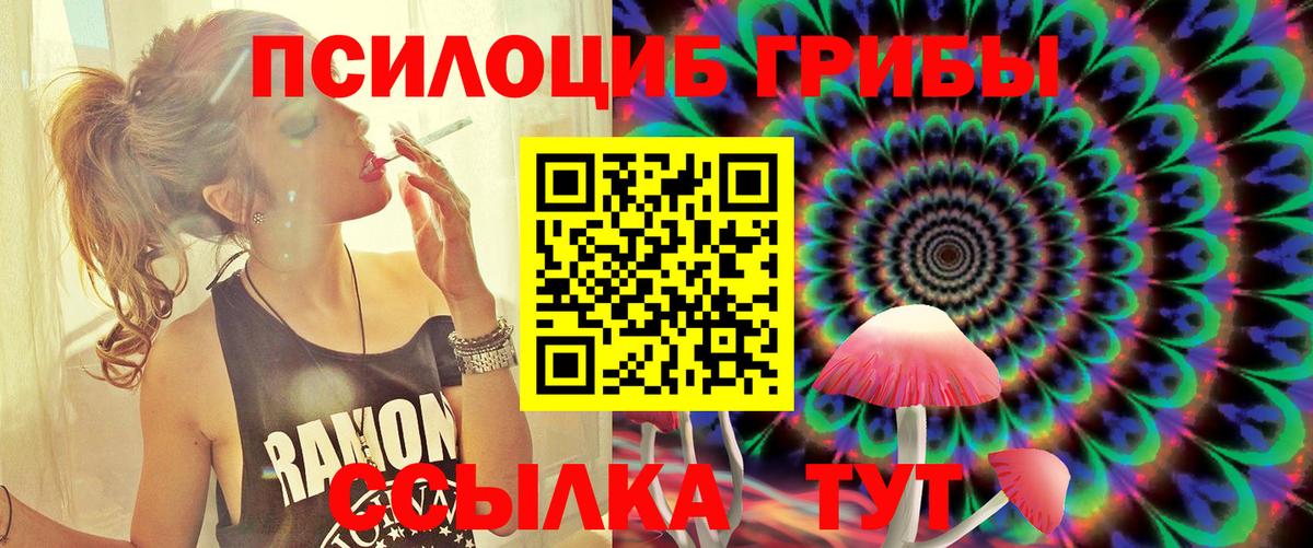 Выборг  Псилоцибиновые грибы мухоморы  Вход с VPN 