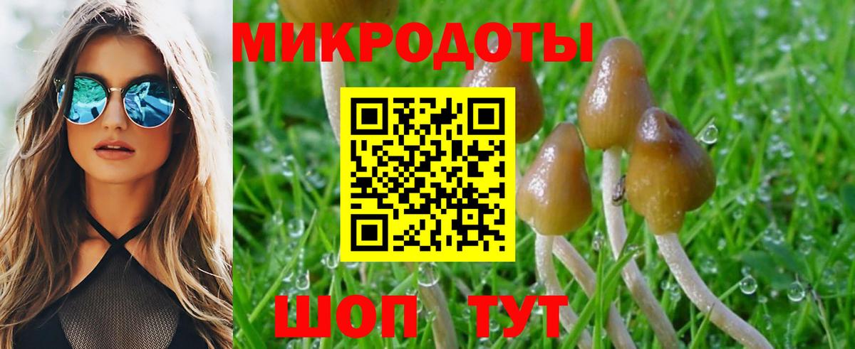 Галлюциногенные грибы мухоморы Выборг